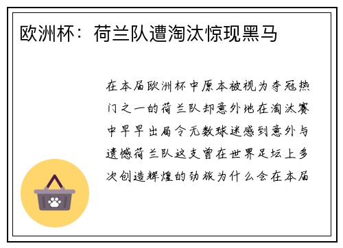 欧洲杯：荷兰队遭淘汰惊现黑马