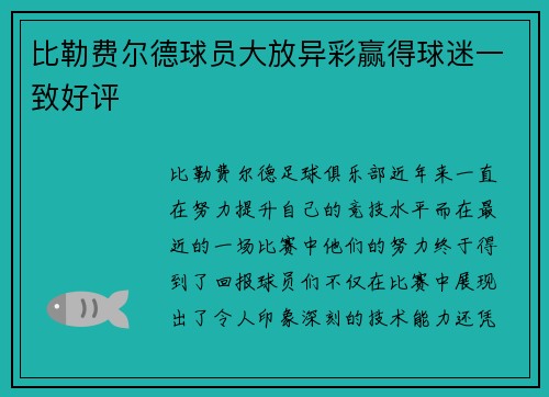 比勒费尔德球员大放异彩赢得球迷一致好评