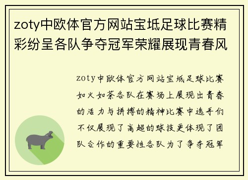 zoty中欧体官方网站宝坻足球比赛精彩纷呈各队争夺冠军荣耀展现青春风采